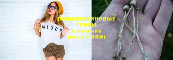 соль ск Балахна