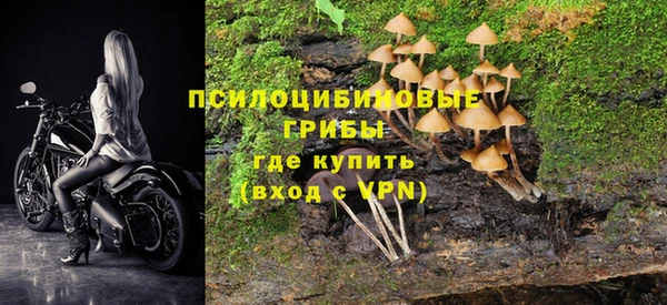 соль ск Балахна