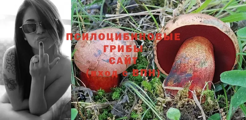 Галлюциногенные грибы Psilocybine cubensis  купить наркотики цена  кракен онион  Волгореченск 