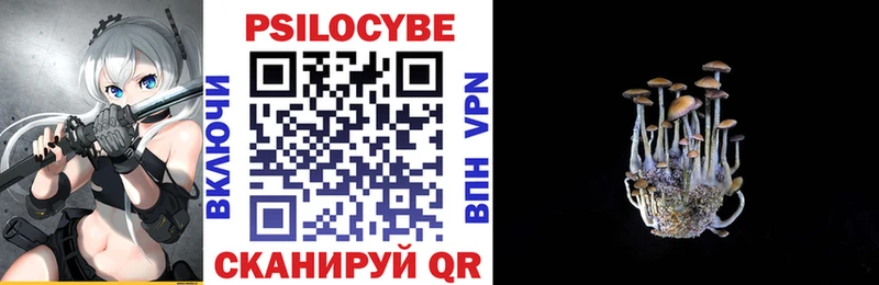 Псилоцибиновые грибы прущие грибы  Волгореченск 